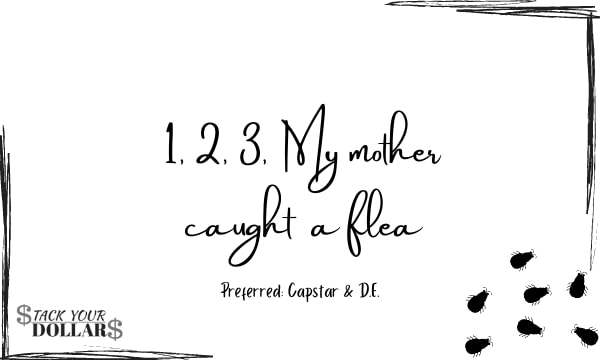 Image of mother caught a flea lyrics