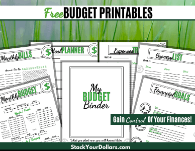 Image of Free Budget Binder Printables
