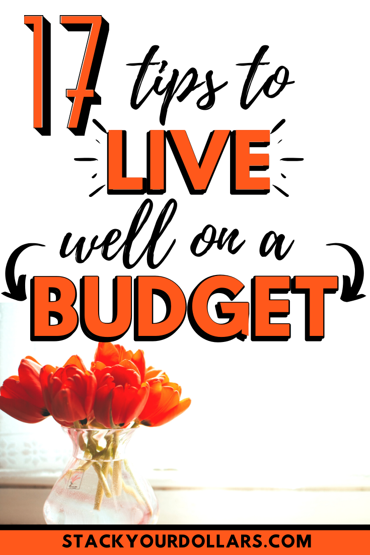 Graphic of 17 tips to live well on a budget