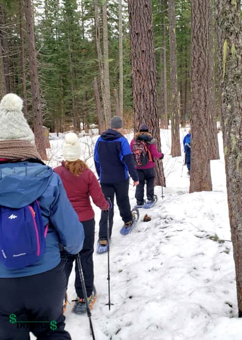 A group of people snowshoeing through trees.