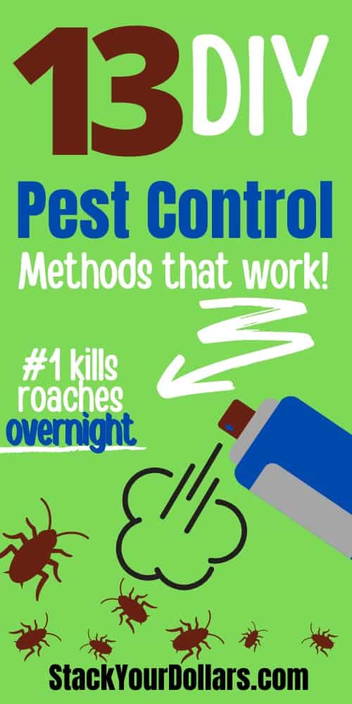 Pest Control Image