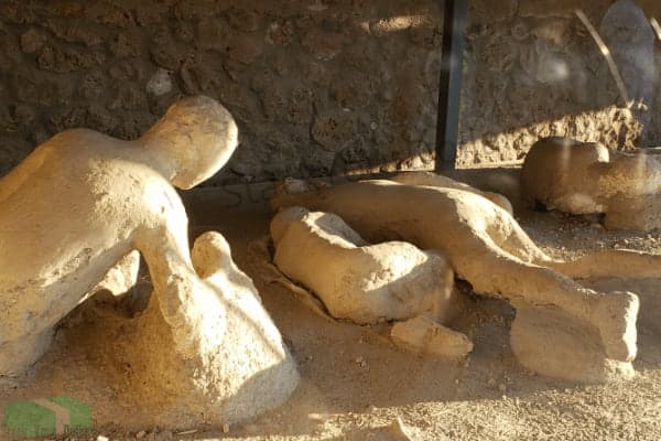 Image of Human Remains Encased in Ash from Pompeii Display