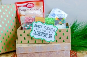 Homemade cookie decorating kit 